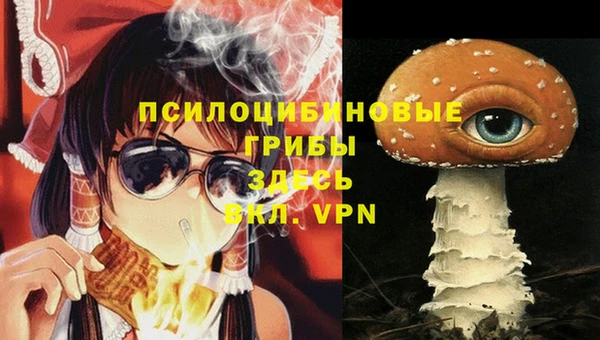 ГАЛЛЮЦИНОГЕННЫЕ ГРИБЫ Абинск