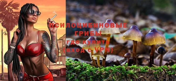 твердый Абдулино
