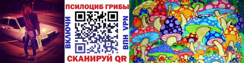как найти наркотики Исилькуль Галлюциногенные грибы GOLDEN TEACHER
